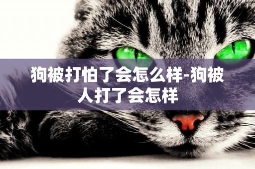 狗被打怕了會怎么樣-狗被人打了會怎樣