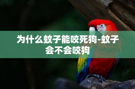 為什么蚊子能咬死狗-蚊子會不會咬狗