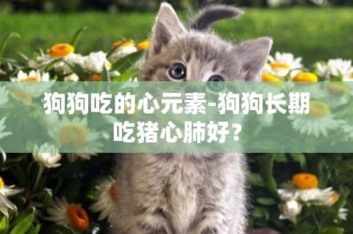 狗狗吃的心元素-狗狗長期吃豬心肺好？