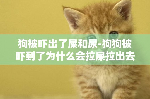 狗被嚇出了屎和尿-狗狗被嚇到了為什么會拉屎拉出去