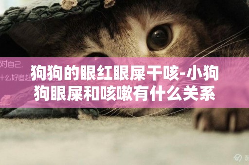 狗狗的眼紅眼屎干咳-小狗狗眼屎和咳嗽有什么關系
