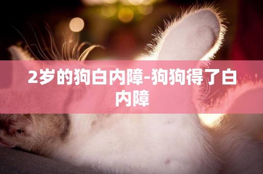 2歲的狗白內障-狗狗得了白內障