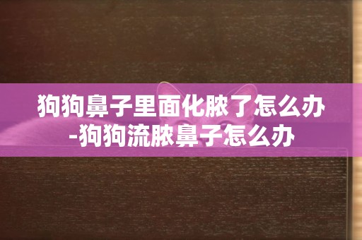 狗狗鼻子里面化膿了怎么辦-狗狗流膿鼻子怎么辦