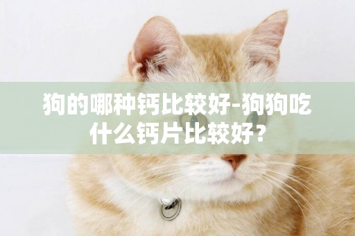 狗的哪種鈣比較好-狗狗吃什么鈣片比較好？