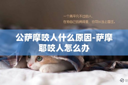 公薩摩咬人什么原因-薩摩耶咬人怎么辦