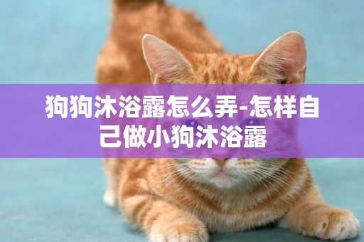 狗狗沐浴露怎么弄-怎樣自己做小狗沐浴露