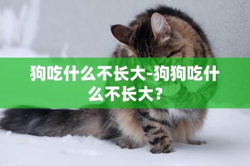 狗吃什么不長大-狗狗吃什么不長大？