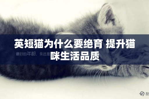 英短貓為什么要絕育 提升貓咪生活品質