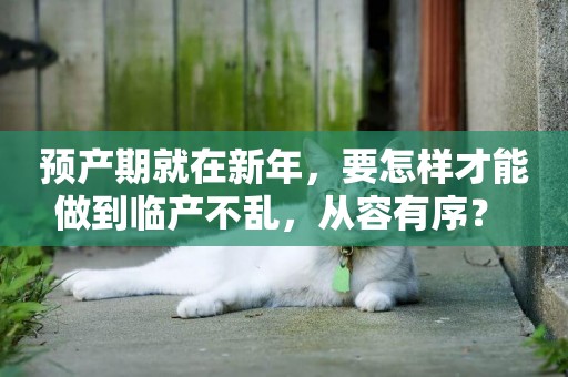 預產期就在新年，要怎樣才能做到臨產不亂，從容有序？ 