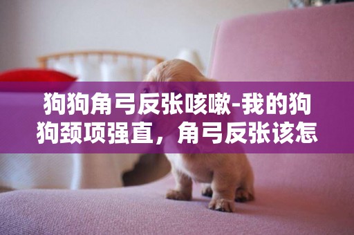 狗狗角弓反張咳嗽-我的狗狗頸項強直，角弓反張該怎么辦》？