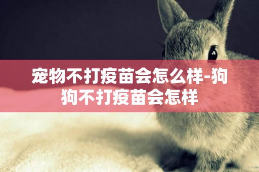 寵物不打疫苗會怎么樣-狗狗不打疫苗會怎樣