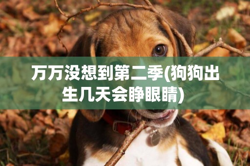 萬萬沒想到第二季(狗狗出生幾天會睜眼睛) 