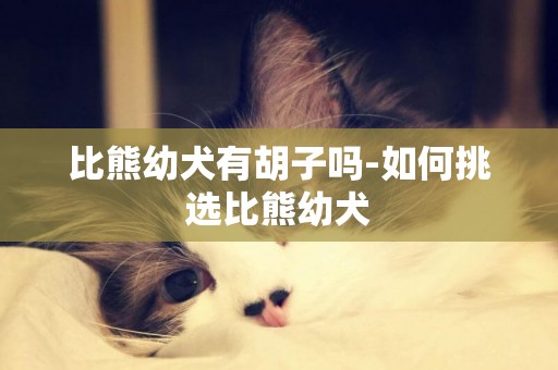 比熊幼犬有胡子嗎-如何挑選比熊幼犬