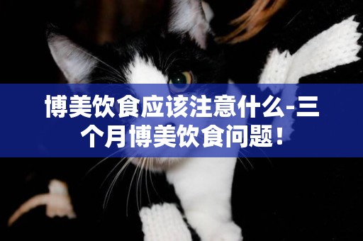 博美飲食應該注意什么-三個月博美飲食問題！