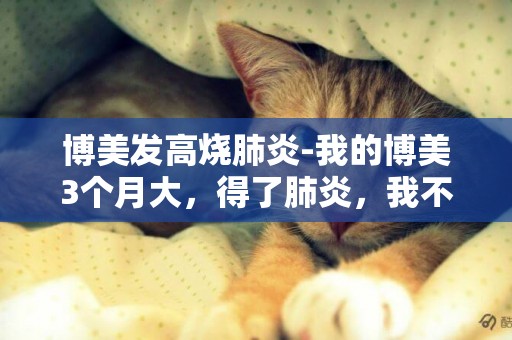 博美發高燒肺炎-我的博美3個月大，得了肺炎，我不知道的了肺炎之后應注意什么，今天給它輸液但是不見有什