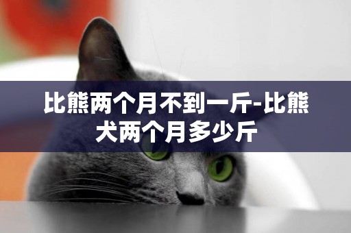 比熊兩個月不到一斤-比熊犬兩個月多少斤