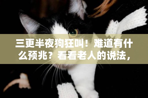 三更半夜狗狂叫！難道有什么預兆？看看老人的說法，是不是這樣？ 