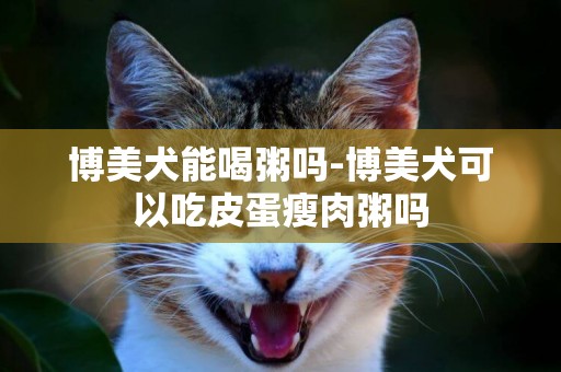 博美犬能喝粥嗎-博美犬可以吃皮蛋瘦肉粥嗎