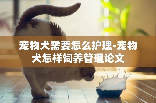 寵物犬需要怎么護理-寵物犬怎樣飼養管理論文