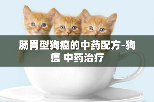 腸胃型狗瘟的中藥配方-狗瘟 中藥治療