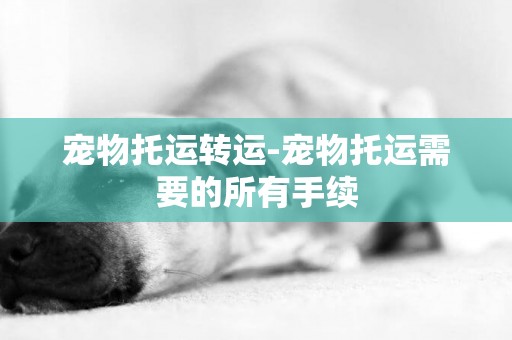 寵物托運轉運-寵物托運需要的所有手續