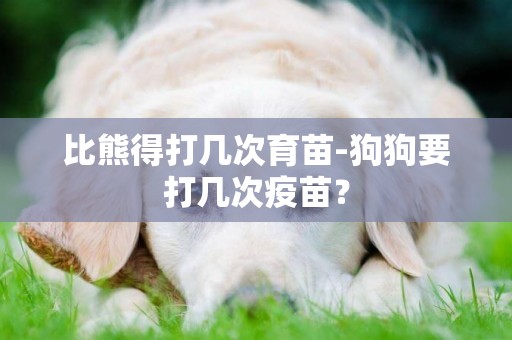 比熊得打幾次育苗-狗狗要打幾次疫苗？