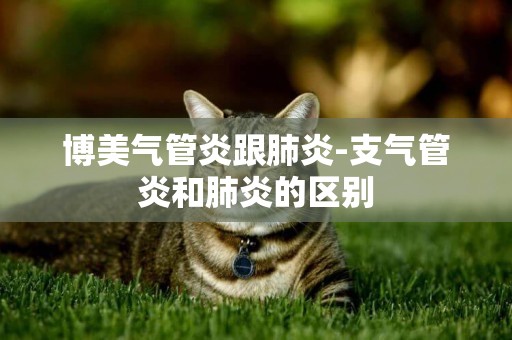 博美氣管炎跟肺炎-支氣管炎和肺炎的區別