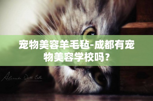 寵物美容羊毛氈-成都有寵物美容學校嗎？