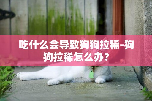 吃什么會導致狗狗拉稀-狗狗拉稀怎么辦？
