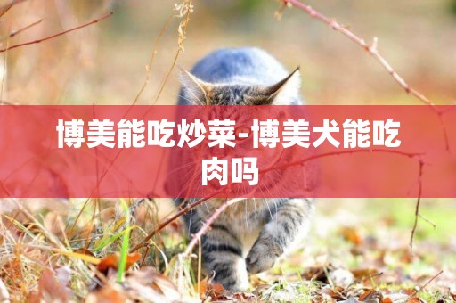 博美能吃炒菜-博美犬能吃肉嗎
