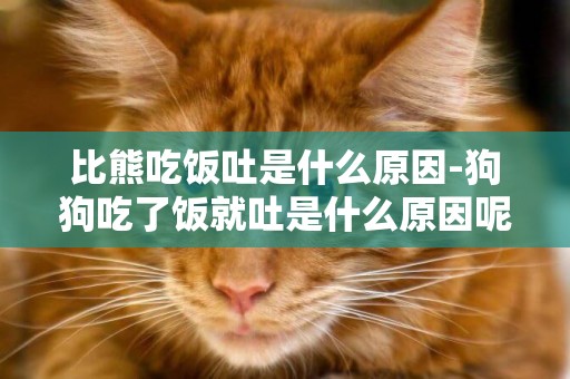 比熊吃飯吐是什么原因-狗狗吃了飯就吐是什么原因呢