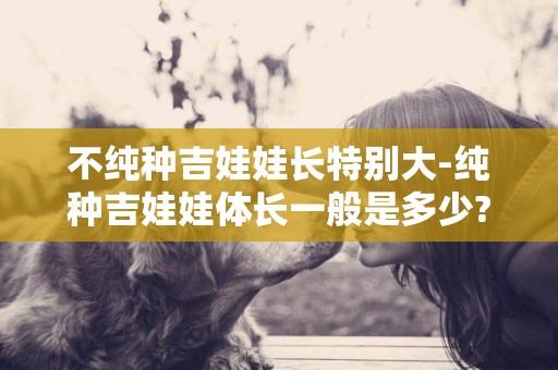 不純種吉娃娃長特別大-純種吉娃娃體長一般是多少?