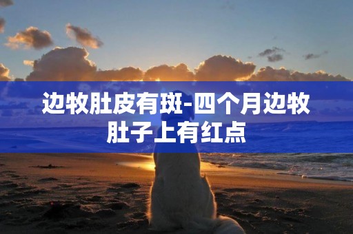 邊牧肚皮有斑-四個月邊牧肚子上有紅點