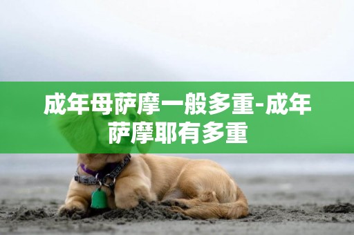成年母薩摩一般多重-成年薩摩耶有多重