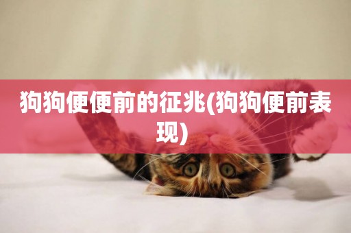 狗狗便便前的征兆(狗狗便前表現) 