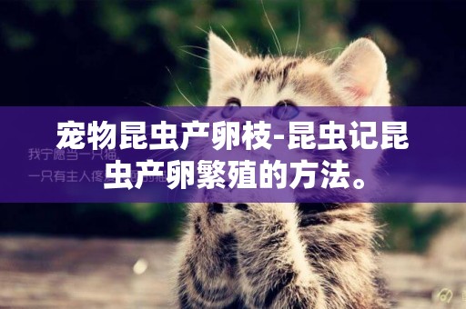 寵物昆蟲產卵枝-昆蟲記昆蟲產卵繁殖的方法。