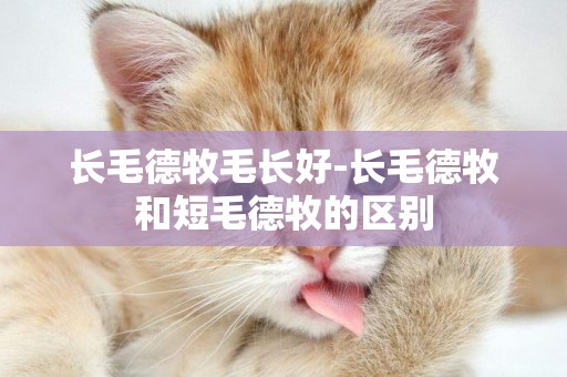 長毛德牧毛長好-長毛德牧和短毛德牧的區別