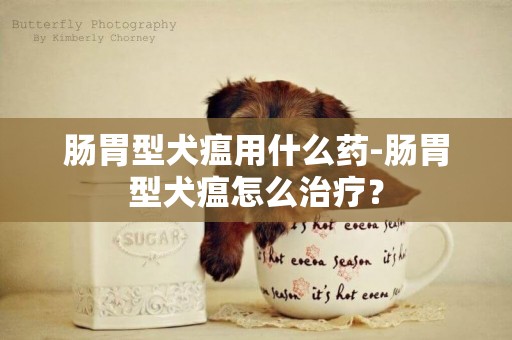 腸胃型犬瘟用什么藥-腸胃型犬瘟怎么治療？