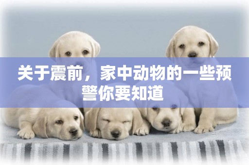 關于震前，家中動物的一些預警你要知道 