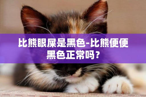 比熊眼屎是黑色-比熊便便黑色正常嗎？