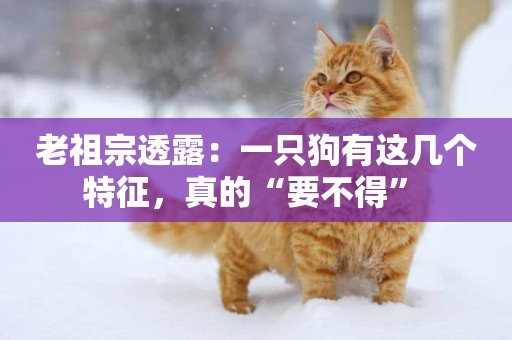 老祖宗透露：一只狗有這幾個特征，真的“要不得” 