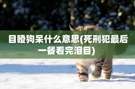 目瞪狗呆什么意思(死刑犯最后一餐看完淚目) 