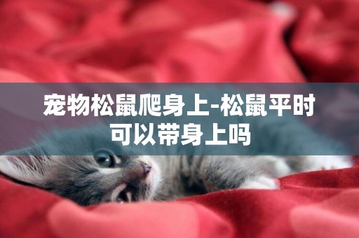 寵物松鼠爬身上-松鼠平時可以帶身上嗎