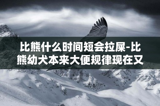 比熊什么時間短會拉屎-比熊幼犬本來大便規律現在又不規律了，為什么啊？
