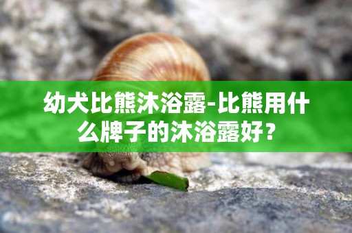 幼犬比熊沐浴露-比熊用什么牌子的沐浴露好？