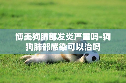博美狗肺部發炎嚴重嗎-狗狗肺部感染可以治嗎