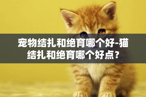 寵物結扎和絕育哪個好-貓結扎和絕育哪個好點？