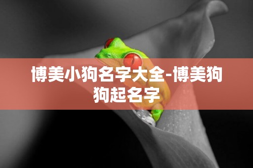 博美小狗名字大全-博美狗狗起名字