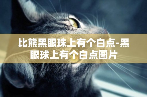 比熊黑眼珠上有個白點-黑眼球上有個白點圖片
