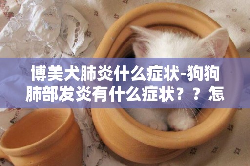 博美犬肺炎什么癥狀-狗狗肺部發炎有什么癥狀？？怎么治療？